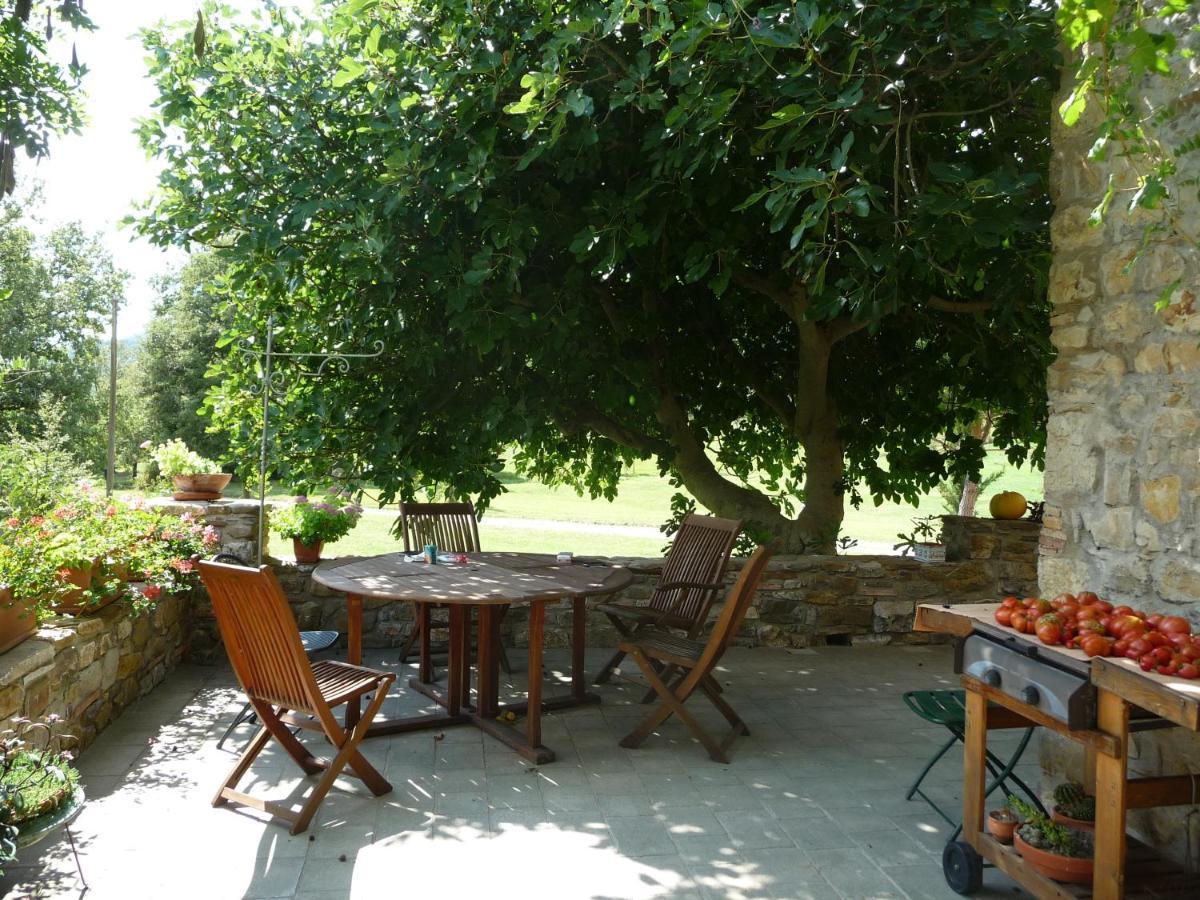 Podere Pian Di Cava Castelnuovo di Val di Cecina Exterior photo